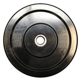 Olympic Rubber Bumper Plates (Sold Individually)